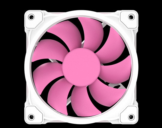 ZF-12025-PINK-W